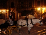 Erica And Carriage In Sevilla 2